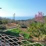 chiostro b&b